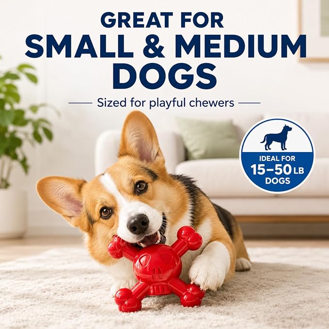 Dog Chew Toys for Aggressive Chewers, Durable Nylon Tough Chew Toy for Small & Medium Dogs, Bacon Flavor Skull Dog Toy to Keep Dogs Busy Indoors, Helps Reduce Boredom