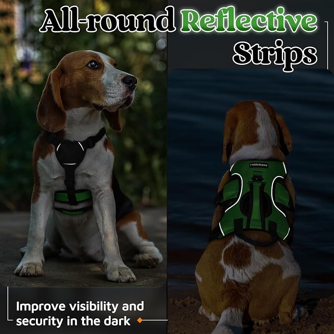 rabbitgoo Escape Proof Dog Harness for Small, No Pull with Lift Handle | No Escape, Full Soft Padded, Reflective Adjustable Vest, Leash Clip for Walking Hiking Training, Green, Small