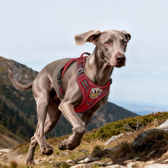 rabbitgoo Tactical Dog Harness for Large Dogs, No Pull Service Pet Vest | Military Molle System & Easy Control Handle, Adjustable and Reflective for Walking and Training, Red, Large