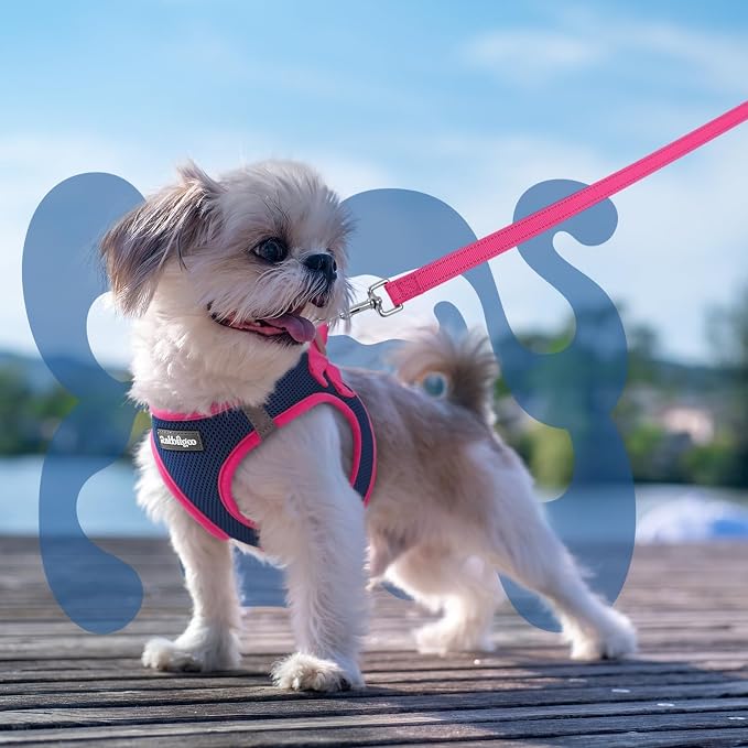 rabbitgoo Dog Harness Small Sized and Leash Set, Step in Soft Vest | Breathable Mesh, Easy Wear with Hook & Loop, Light and Reflective for Walking, Multi-colored, Navy Blue & Rose Red, S
