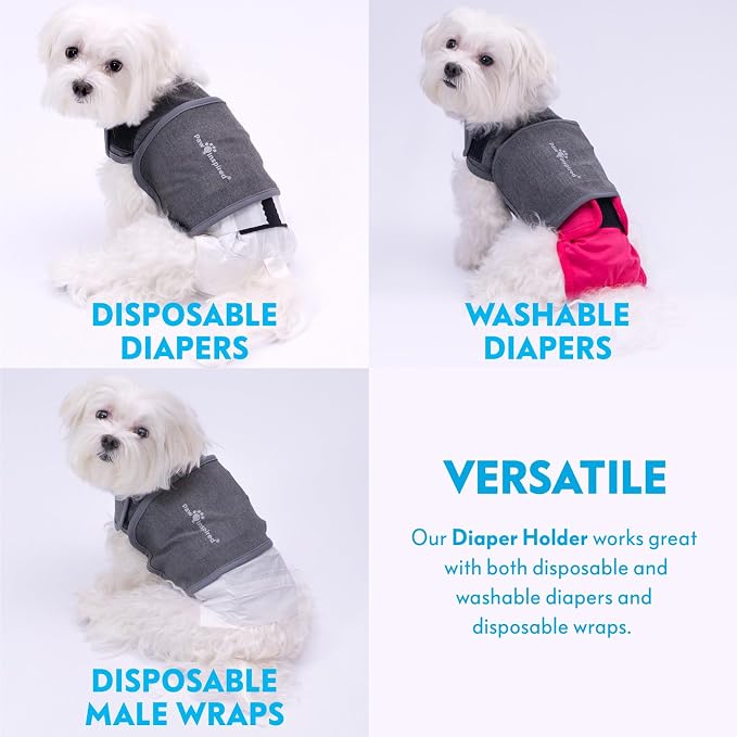 Paw Inspired Stay Put Dog Diaper Holder