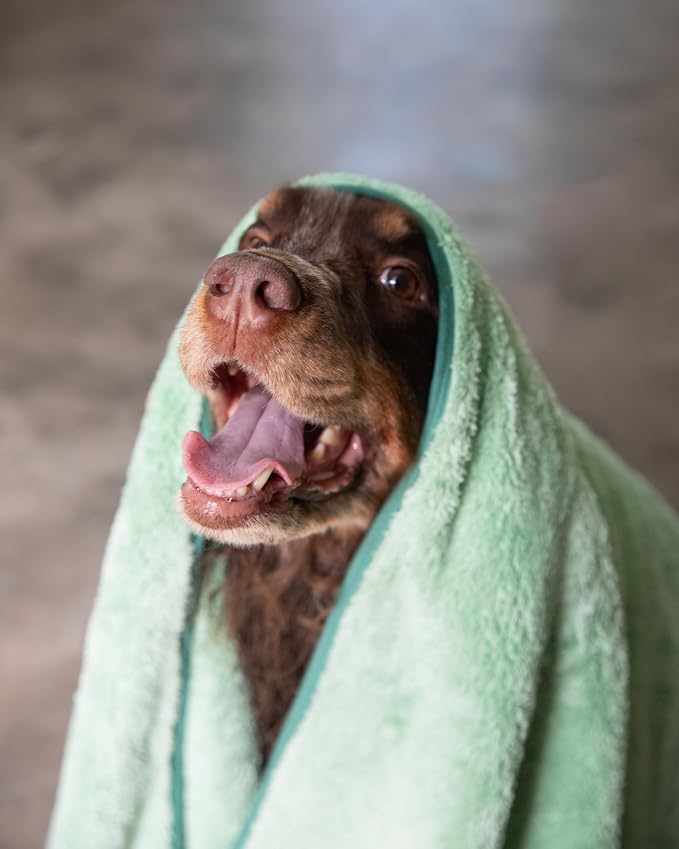Two Tails Pet Company Pet N’ Dry Microfiber Bath Towel, Absorbent Dog Towels for Drying or Washing Large Dogs and Puppies, Soft and Lightweight, Fast Drying, Grooming Dog Supplies, Size Large