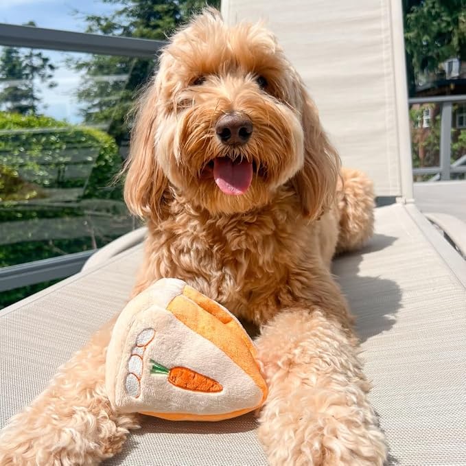 CHEWFFON Dog Interactive Toy, Puzzle Snuffle Carrot Cake for Enrichment | Treat-Hiding, Squeaky & Crinkle, Boredom Relief and Mental Stimulation, Indoor Brain Game for Small Medium Dogs