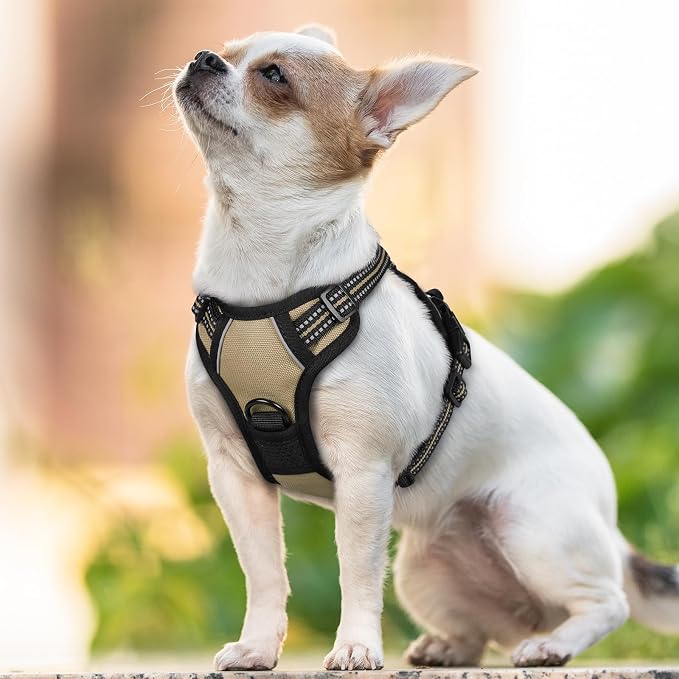 rabbitgoo Dog Harness No Pull with 2 Leash Clips, Adjustable Soft Padded, Reflective Oxford No Choke Pet Vest with Easy Control Handle for Puppy, Beige, XS | No Choke with Handle, Adjustable Soft Padded, Reflective, Easy Control for Walking, Beige, X-S...