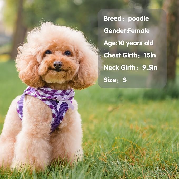 PUPTECK Dog Harness for Puppy and Small Sized Dogs, Step-in No Pull Soft Mesh Vest Harness for Cats Small Pets Walking, Purple, New S