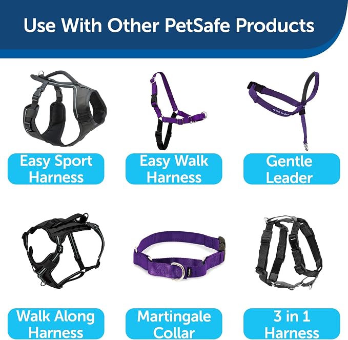 PetSafe Nylon Dog Leash - Strong, Durable, Traditional Style Leash with Easy to Use Bolt Snap - 1 in. x 6 ft., Deep Purple | Durable Nylon Leash with Easy on/off Bolt Snap Hook, Pairs Perfectly with Easy Walk Harness and Gentle Leader Headcollar