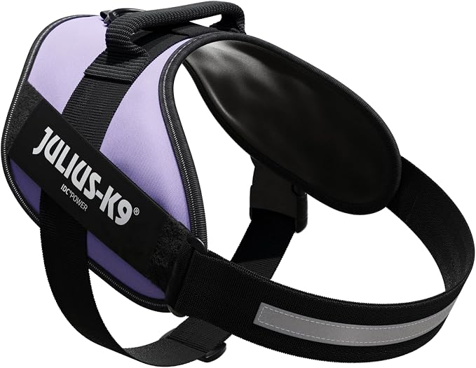 Julius-K9, 16IDC-PR-2, IDC Powerharness, Dog Harness, Size: 2, Purple