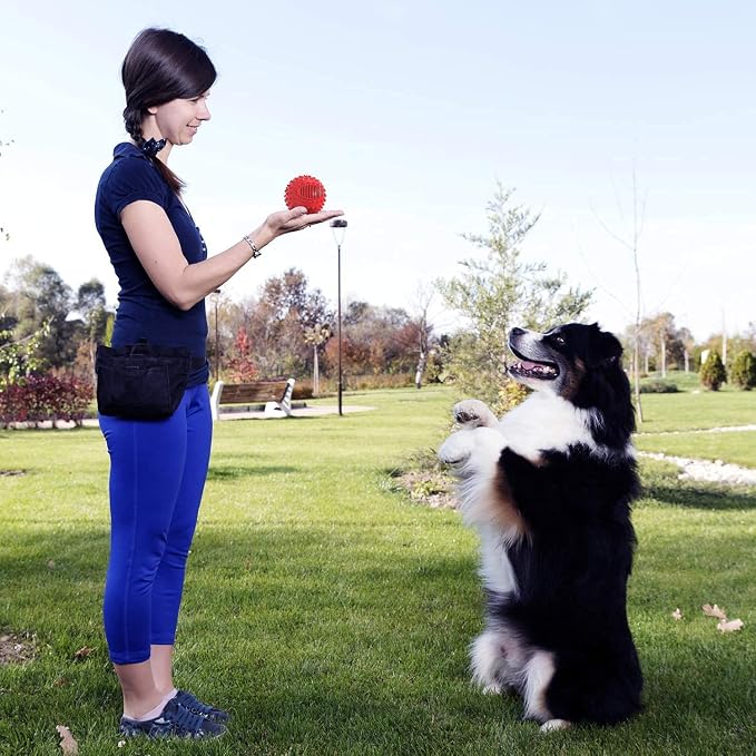petizer 3" Squeaky Dog Balls for Aggressive Chewers, Durable Interactive Spiky Ball for Teething, Indestructible Rubber Dog Chew Toys, Tough Pet Toys for Small, Medium & Large Breeds, Red