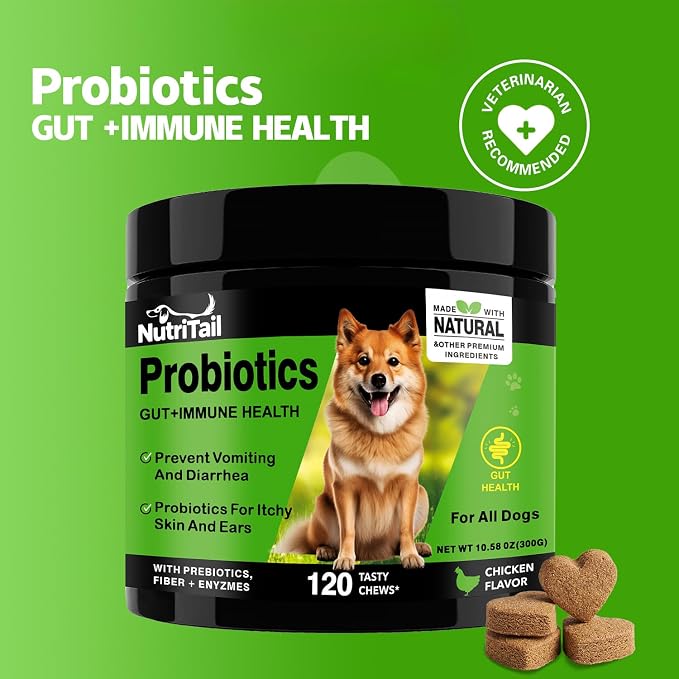 Probiotics for Dogs – Digestive & Immune Support Soft Chews with Prebiotics, Fiber & Enzymes – Relieves Diarrhea, Gas & Itchy Skin – Chicken Flavor Dog Supplement, 120 Chews