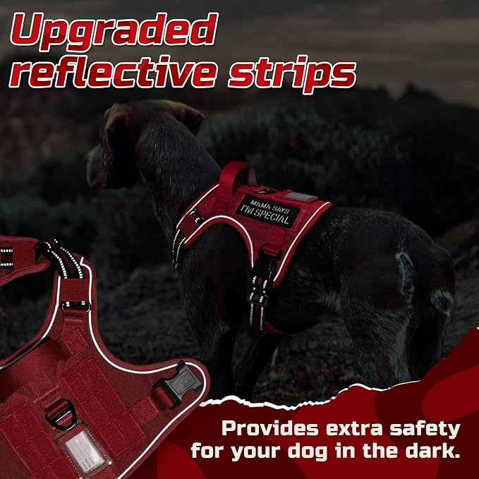 rabbitgoo Tactical Dog Harness for Medium, No Pull Military Service Vest | Molle & Handle, Heavy Duty, Adjustable, Reflective Straps, Easy Control for Training Walking, Red, Medium