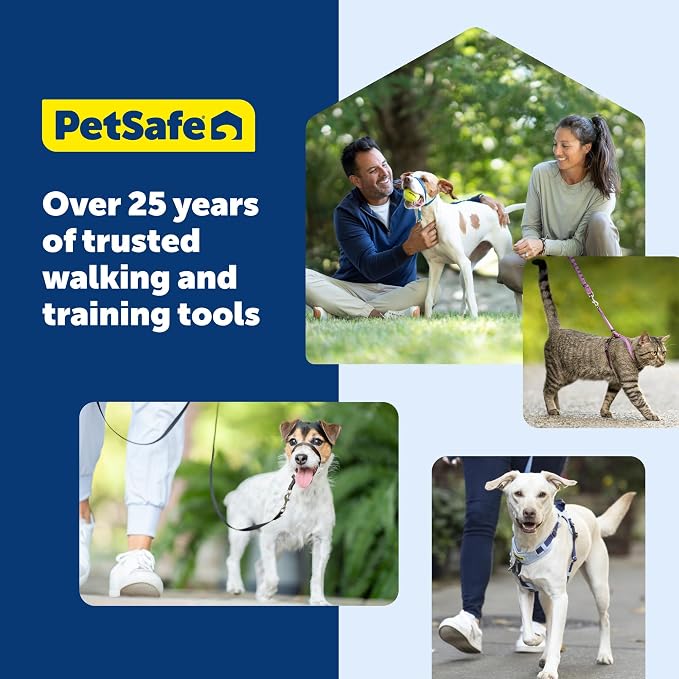 PetSafe EasySport Dog Harness, Blue, Large | Padded, Elastic Neckline Harness for Active Dogs, Reflective Piping for Visibility, Top Control Handle, Rear Leash Clip