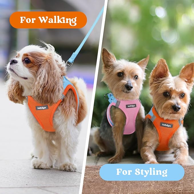 rabbitgoo Step-in Small Dog Harness, Puppy Vest for Small Sized Pet | Easy Put on and off, Lightweight, Soft, Breathable Quick-Dry Air Mesh for Comfortable Secure Walking, Blue & Orange S