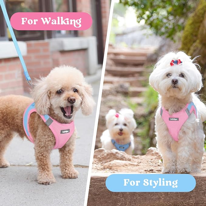rabbitgoo Step-in Small Dog Harness, Puppy Vest for Medium Sized Pet | Easy Put on and off, Lightweight, Soft, Breathable Quick-Dry Air Mesh for Comfortable Secure Walking, Blue & Light Pink XXL
