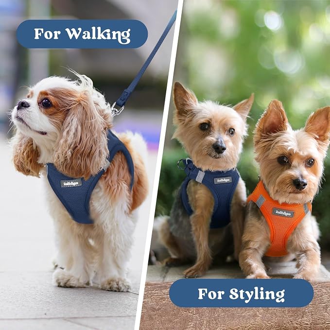rabbitgoo Step-in Small Dog Harness, Puppy Vest for Small Sized Pet | Easy Put on and off, Lightweight, Soft, Breathable Quick-Dry Air Mesh for Comfortable Secure Walking, Navy Blue S