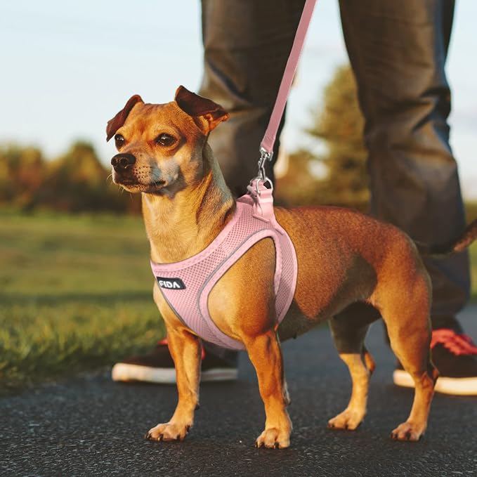 Fida Comfy Dog Harness with Leash, Soft Puppy Vest Escape Proof, Breathable Lightweight Soft Mesh, Adjustable Reflective Step-in Harness for Small & Medium Pet Walking (L, Pink)