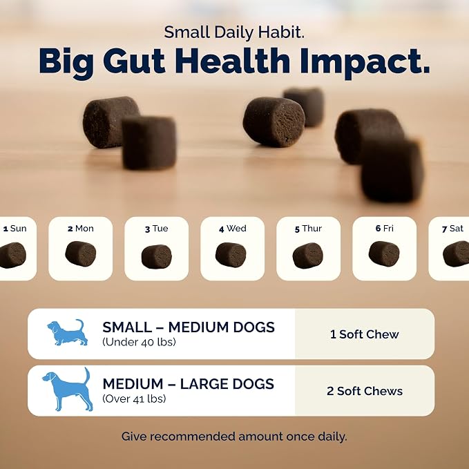 Vetnique Glandex Probiotic Soft Chews for Dogs - 60ct, Bacon Flavor