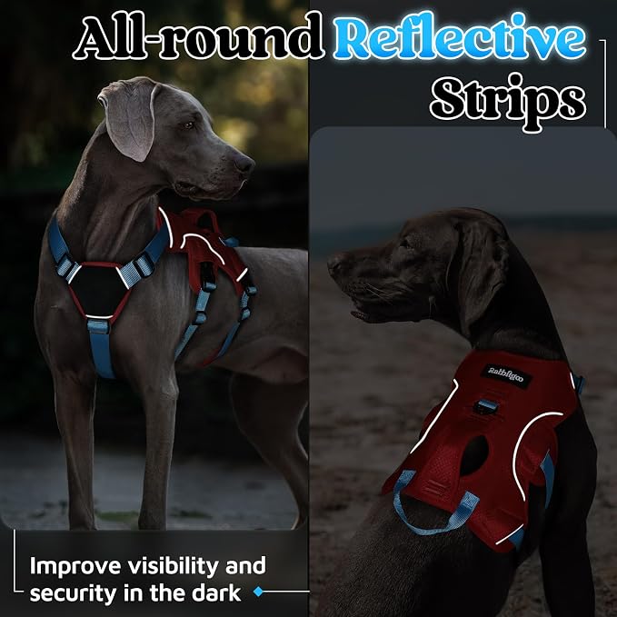 rabbitgoo Escape Proof Dog Harness for Large, No Pull with Lift Handle | No Escape, Full Soft Padded, Reflective Adjustable Vest, Leash Clip for Walking Hiking Training, Sky Blue & Red, Large