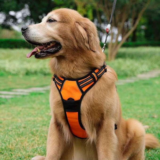 rabbitgoo Dog Harness, No Pull for Large Dogs with 2 Leash Clips, Pet Vest | No Choke with Handle, Adjustable Soft Padded, Reflective, Easy Control for Walking, Orange, Large