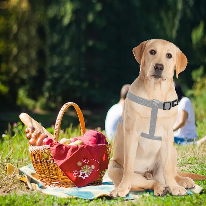 PUPTECK No Pull Dog Harness Medium Sized Step-in Adjustable Puppy Vest | Soft Webbing Basic Halter with ID Tag for Outdoor Walking