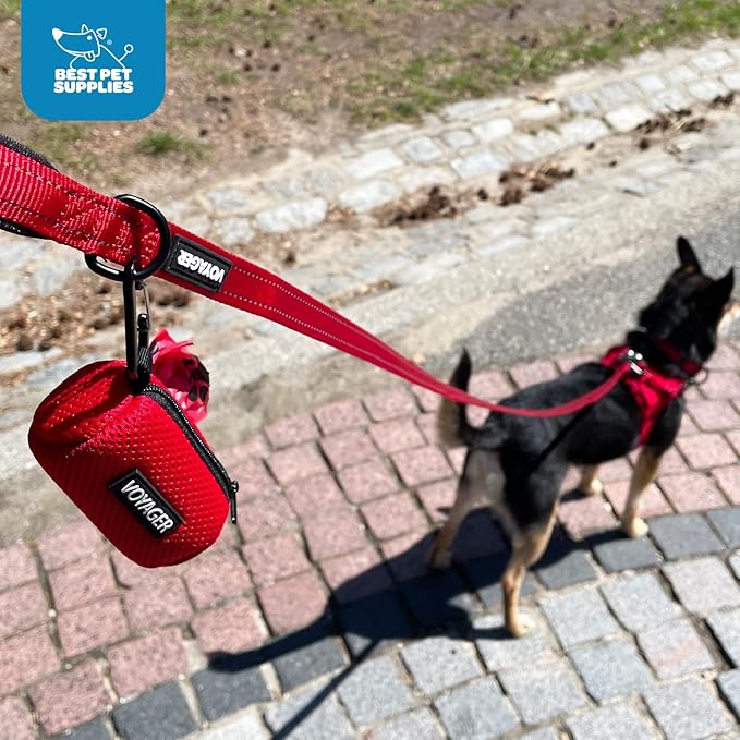 Best Pet Supplies Dog Poop Bag Holder Leash Attachment with 15 Bags, Blue, Reusable Mesh Dispenser Pouch for Travel, Walking, Park, and Outdoor Use, Soft and Durable with Clip-On