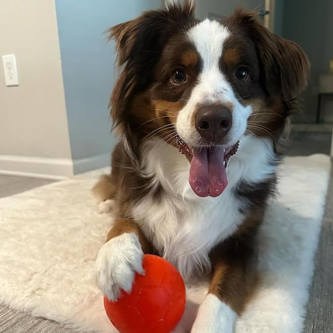 Jolly Pets Mini Soccer Ball Dog Toy, 4 in, Orange - Durable | Small 4 inch durable dog soccer ball, tougher tennis ball alternative that won't deflate when punctured, floats, made in USA