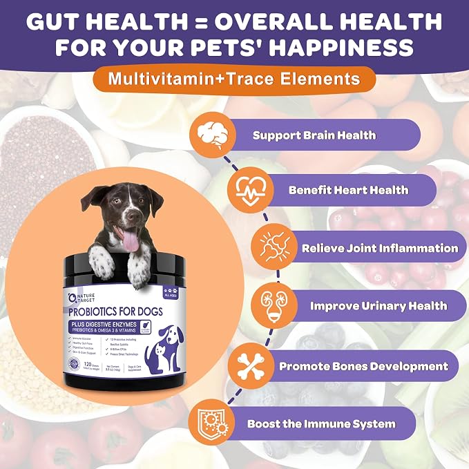 NATURE TARGET 6 Billion Freeze Dried Probiotics for Dogs, 120 Bites