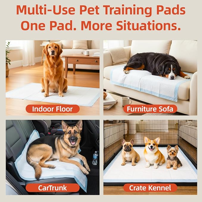 XXXXL Dog and Puppy Pee Pads, 55.1 x 31.5 Inch Leakproof Disposable Pet Training Pads, Fast Absorb 5-Layer Design, 50% Thicker with Adhesive Tabs, for Car Back Seat Cover, Floor, Crate, 50 Count