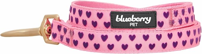 Blueberry Pet Valentine's Day Dog Leash, Velvety Soft-Touch Heart Flocking