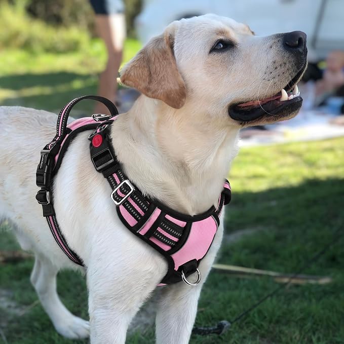 rabbitgoo Dog Harness for Large, No Pull 3 Buckles Easy On & Off | Soft Padded, Walking with Control Handle, Adjustable and Reflective, Light Pink, Large
