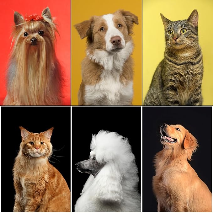 Complete Pet Grooming Solution by Dog, 9-Pack