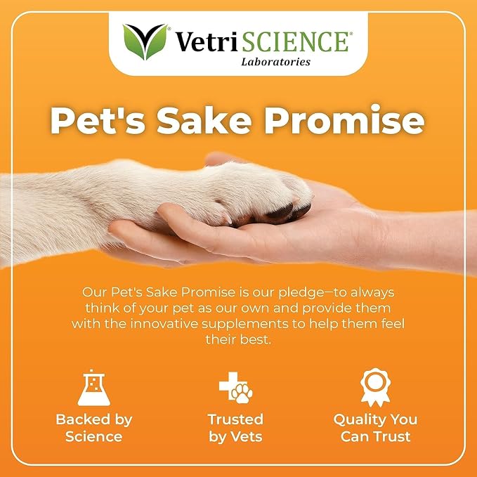 VetriScience Glycoflex 3 Clinically Proven Hip and Joint Supplement for Dogs, 120 Chews & Canine Plus MultiVitamin for Senior Dogs, 60 Chews