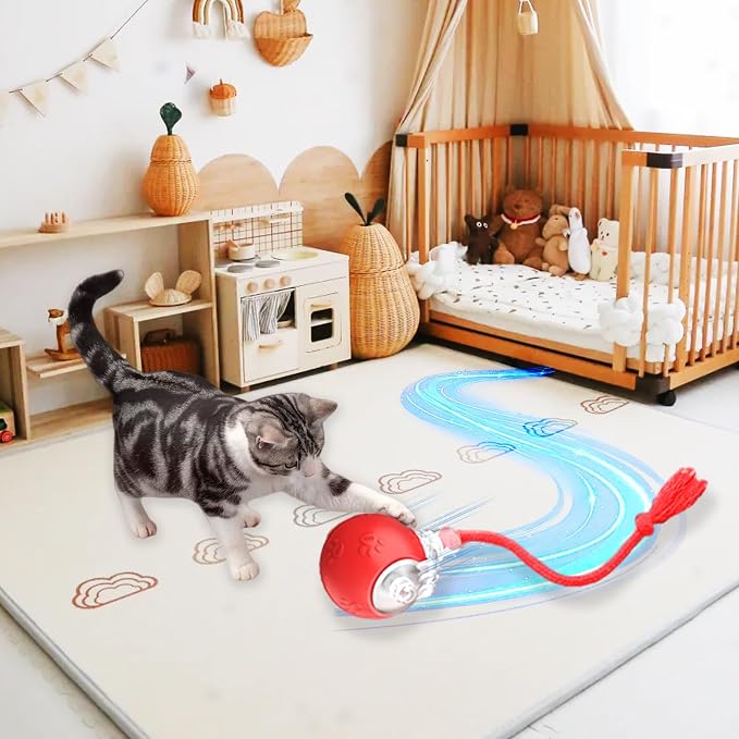 Moving Pet Ball, Cat String Toy for Indoor Cats & Small Dogs | juguetes para gatos|chirping bird cat toy|motion activated cat toy|cat toys for bored indoor adult cats