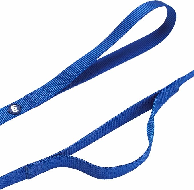 Blueberry Pet Essentials Double Handle Dog Leash for Traffic Control | 4ft. x 1" Large Dog Leash | Classic Dog Leash with Two Handles for Dogs That Pull | Nylon 2 Handle Dog Leash in Royal Blue