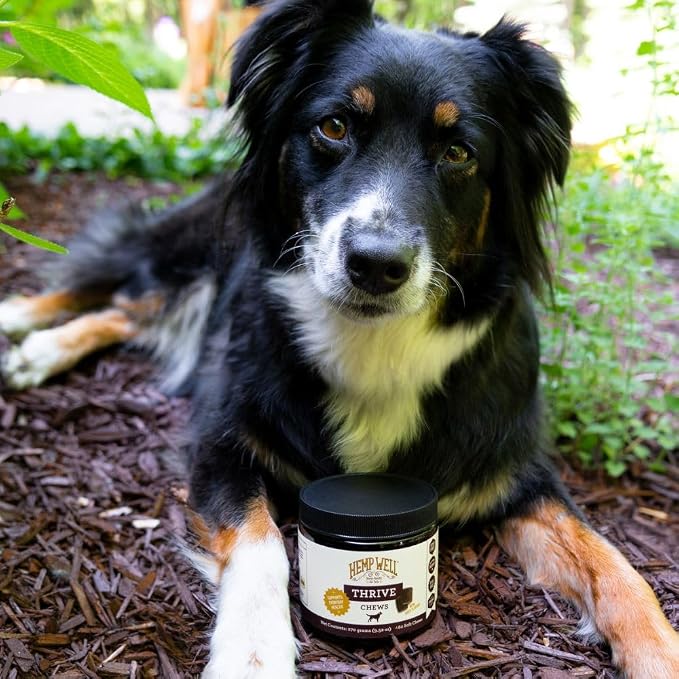 Hemp Well Thrive Chews for Dogs, Organic Hemp, Everyday Omegas, Skin Coat Support