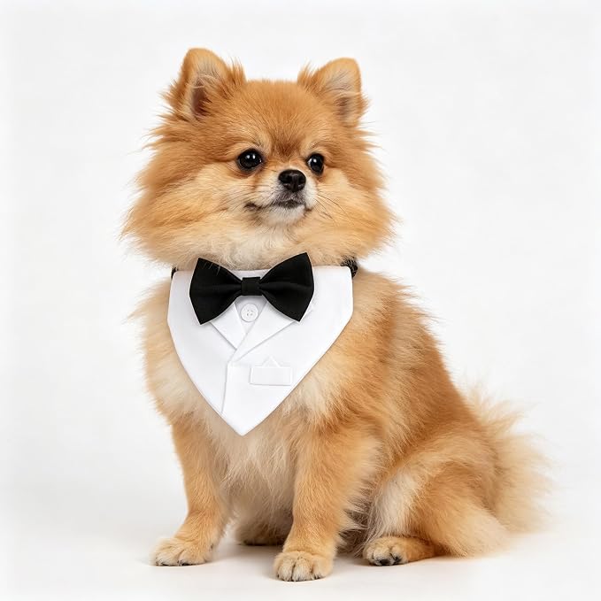 Dog Tuxedo Suit Wedding Collar, Large, White