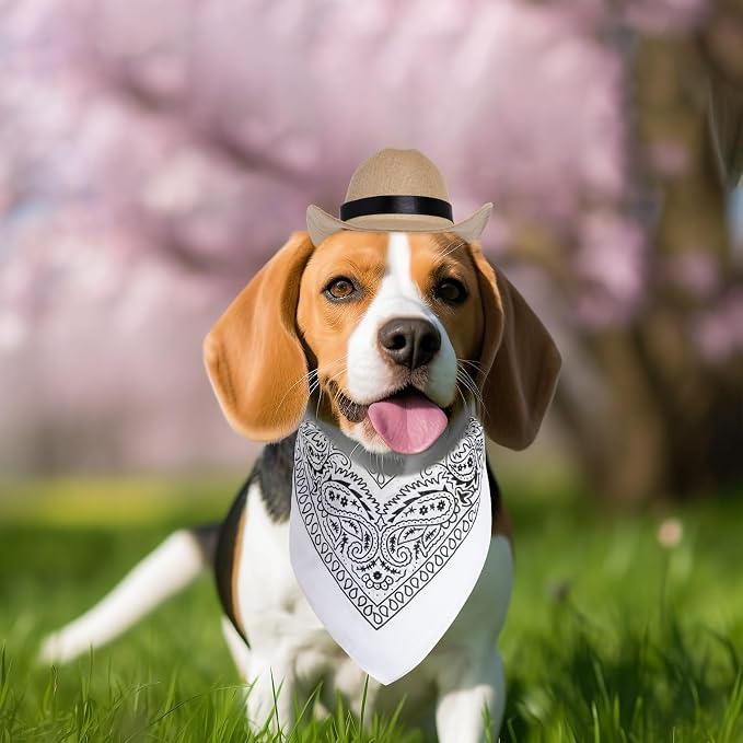 choyaxo Dog Halloween Costumes Pet Cowboy Costume for Dogs Cat Cowboy Hat with Bandana, Cowboy hat:5*6*2inch/ 13*15*5cm, it has a chin strap that make it suitable for most pet. Bandana is 21.5*21.5inch/45*45cm, can be folded for your dog or cat., Khaki