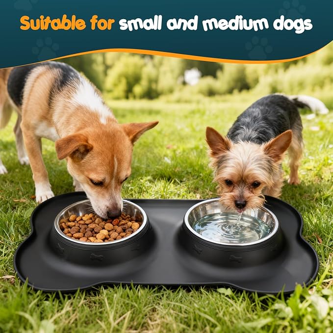 Double Dog Food Bowls Stainless Steel & Water Dish with No-Spill and Non-Slip Silicone Mat, Removable Puppy Feeder Bowls for Small Medium Size Cat Dogs Kitten,14oz