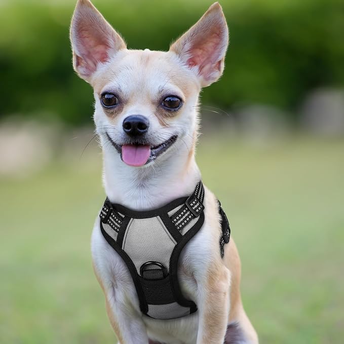 rabbitgoo Dog Harness No Pull with 2 Leash Clips, Adjustable Soft Padded, Reflective Oxford No Choke Pet Vest with Easy Control Handle for Puppy, Grey, XS | No Choke with Handle, Adjustable Soft Padded, Reflective, Easy Control for Walking, Gray, X-Small
