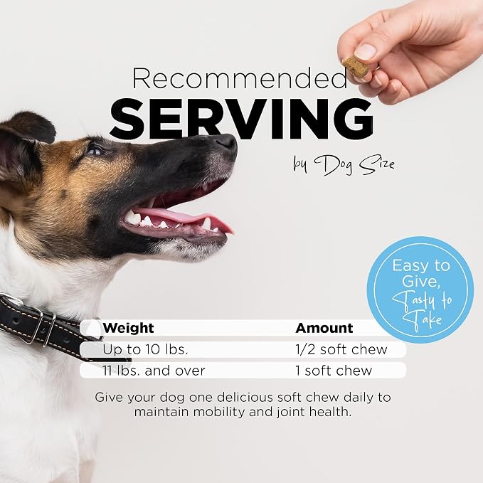 PetJoy Thrive Dog Multivitamin Soft Chew - Daily Dog Vitamins for Energy, Healthy Skin & Coat, and Stronger Bones & Teeth - Complete Support Supplement, Multivitamin for Dogs & Pets (60 Count)