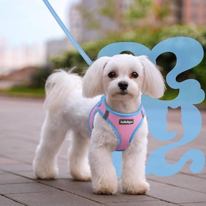 rabbitgoo Dog Harness Small Sized and Leash Set, Step in Soft Vest | Breathable Mesh, Easy Wear with Hook & Loop, Light and Reflective for Walking, Multi-colored, Pink & Blue, M