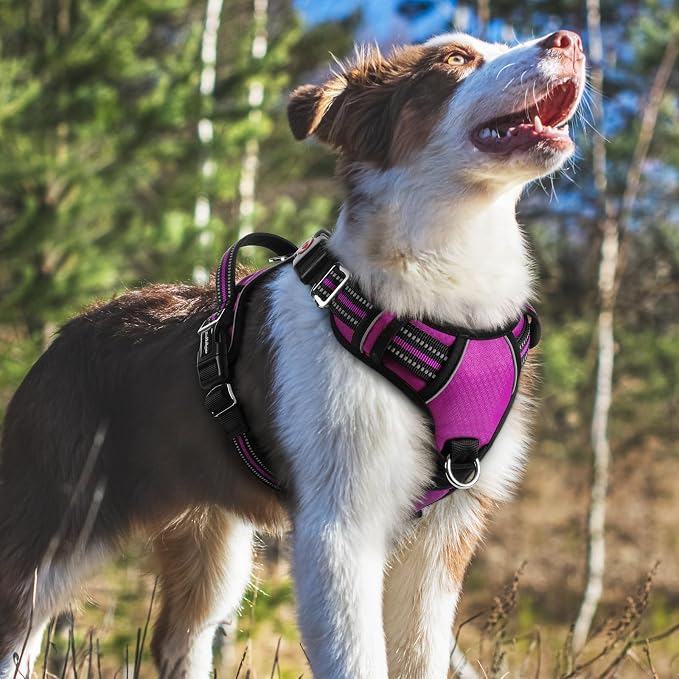 rabbitgoo Dog Harness Medium Sized, No Pull 3 Buckles Easy On & Off | Soft Padded, Walking with Control Handle, Adjustable and Reflective, Purple, Medium