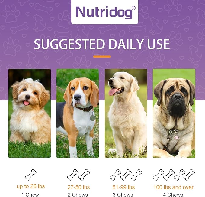 Dog Probiotic Chews 120 Count – 6 Billion CFU, 6 Strains
