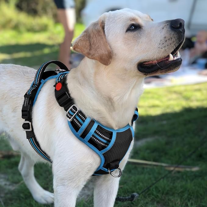 rabbitgoo Dog Harness for Large, No Pull 3 Buckles Easy On & Off | Soft Padded, Walking with Control Handle, Adjustable and Reflective, Black & Blue, Large