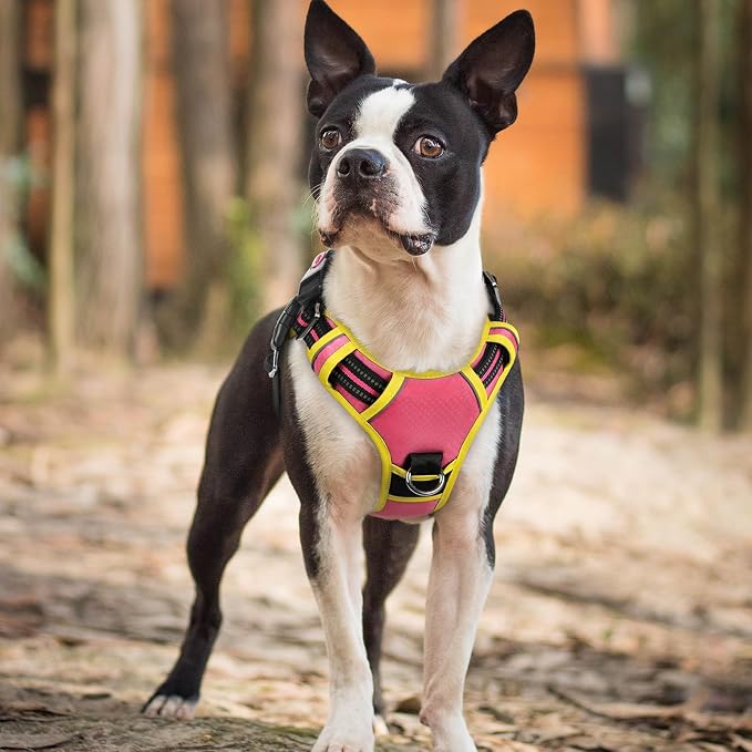 rabbitgoo Dog Harness Small Sized, No Pull 3 Buckles Easy On & Off | Soft Padded, Walking with Control Handle, Adjustable and Reflective, Pink & Yellow, Small