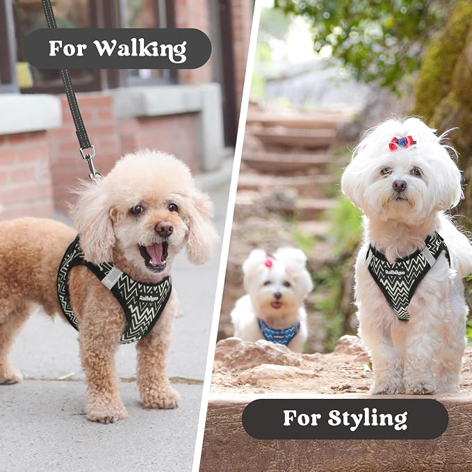 rabbitgoo Step-in Small Dog Harness, Puppy Vest for Small Sized Pet | Easy Put on and off, Lightweight, Soft, Breathable Quick-Dry Air Mesh for Comfortable Secure Walking, Black Zigzag M