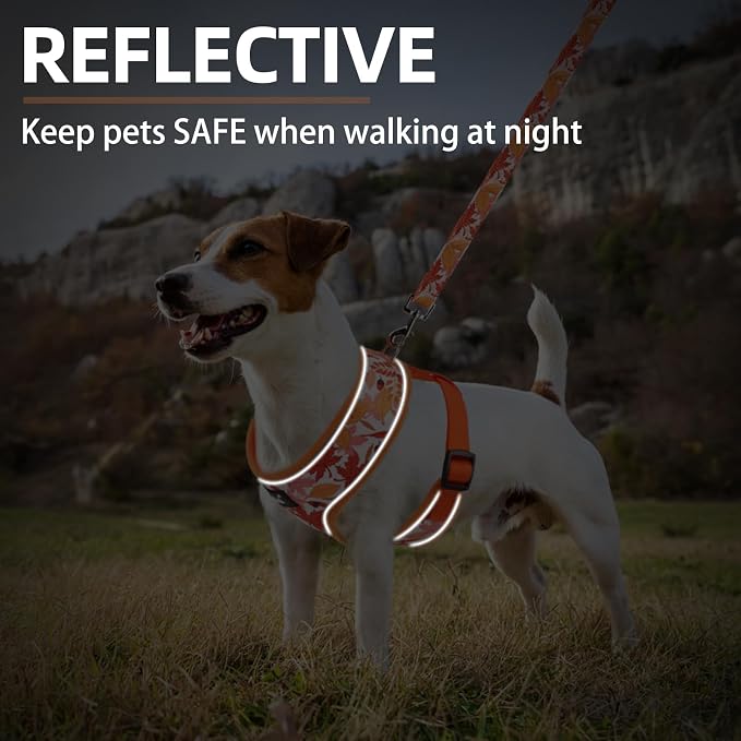 PUPTECK Soft Mesh Dog Harness and Leash Set Pet Puppy Cat Comfort Padded Vest No Pull Harnesses, Orange Leaf, M