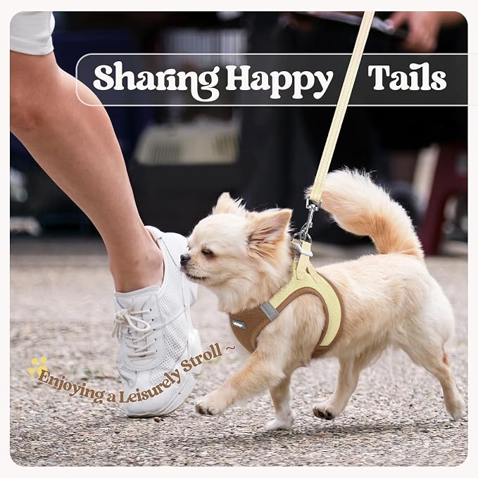 rabbitgoo Dog Harness Small Sized and Leash Set, Step-in Puppy Pet Vest | Light, Soft, Breathable Air Mesh, Easy on and Remove with Hook & Loop, Secure Reflective for Walking, Brown & Beige XXS