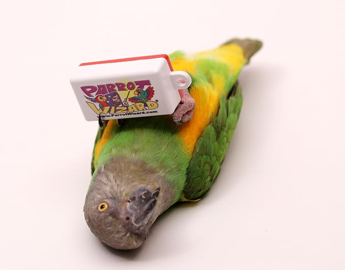 Clicker for Parrot Trick Training, Set of 3