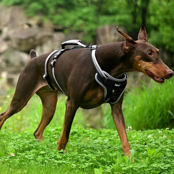 PUPTECK Escape Proof Dog Harness with Padded Handle, No Pull Pet Vest Harness Durable Reflective for Medium Large Dogs Walking Training and Running, Black, L