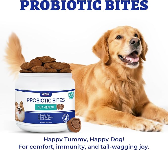Wellix 19.04oz Probiotics for Dogs - Probiotics & Prebiotics with Pumpkin